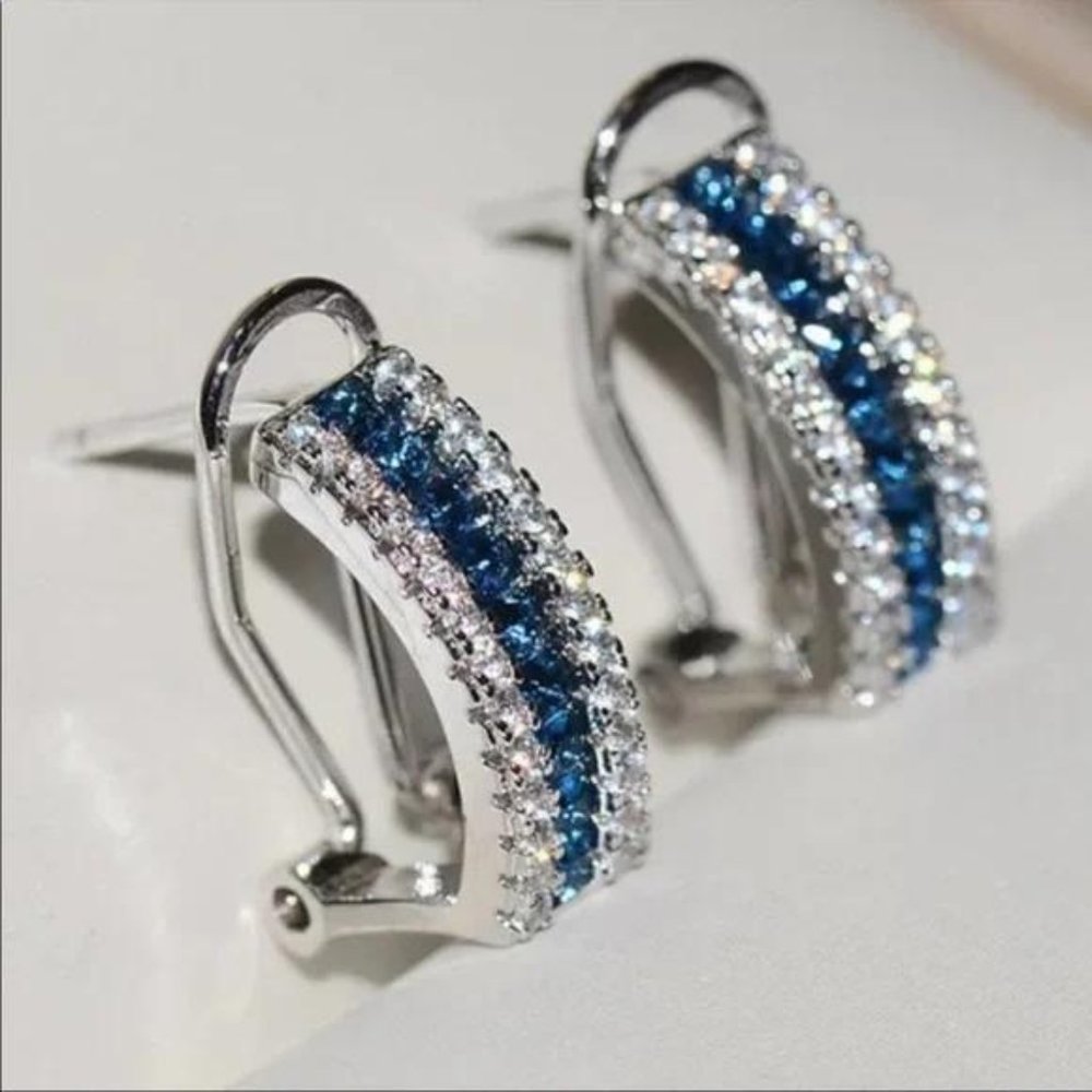 Elegant Silver and Blue Crystal Earrings